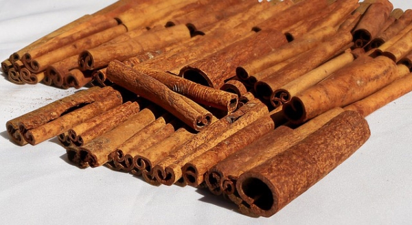 Cinnamon Bark Essential Oil